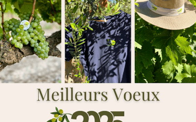 Meilleurs vœux 2025